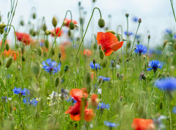 Aware of climate and social challenges, we consistently aim to minimize our environmental impact and eliminate risks to the health and lives of our employees.